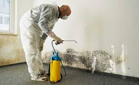 Knightstown, IN Mold Remediation Company